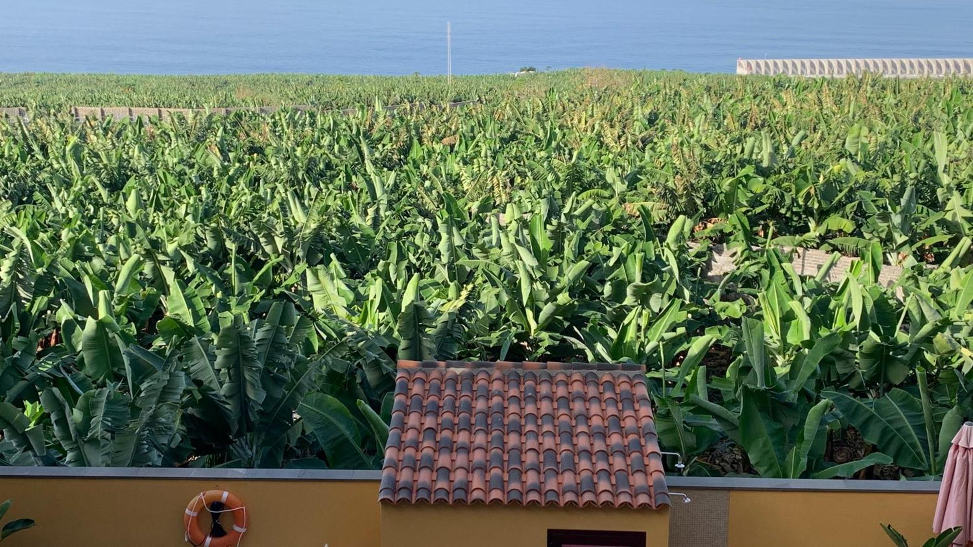 Apartamento Los Guirres Tazacorte Bagian luar foto