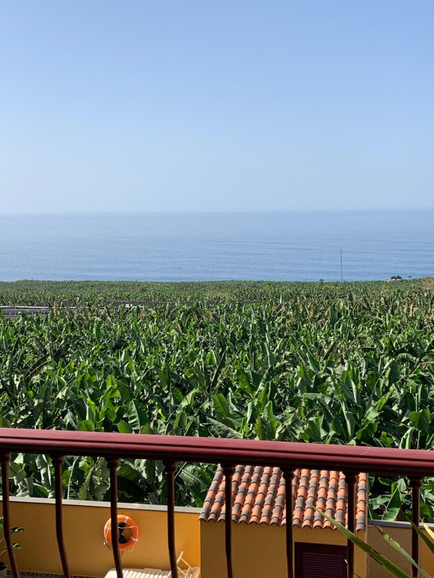 Apartamento Los Guirres Tazacorte Bagian luar foto